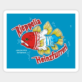 Rieppelia heinzfurreri Magnet